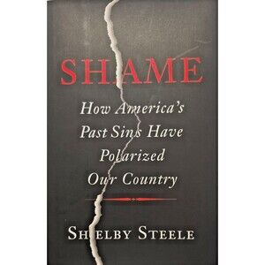 Shame : How America's Past Sins Have Polarized Our Country by Shelby Steele